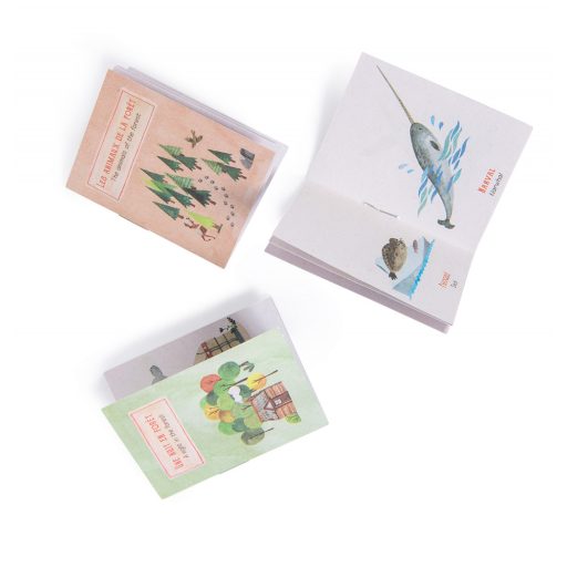 Moulin Roty Kiskertem - Felfedező - Mesevetítő