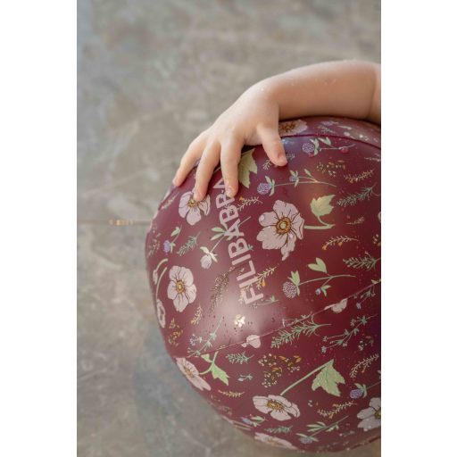 Strandlabda - őszi virágok - Filibabba