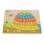 Andreu Toys Formaillesztő puzzle - teknős