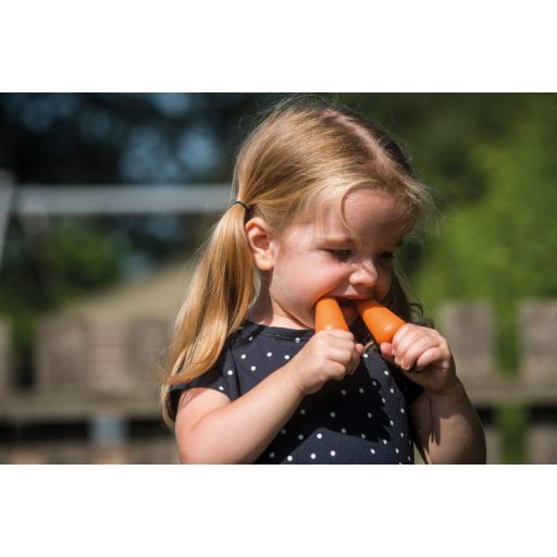 Dantoy Green Garden gyümölcsök és zöldségek