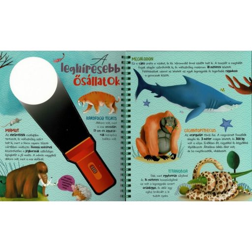 Napraforgó Csodalámpa - Ősállatok