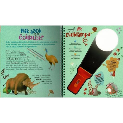 Napraforgó Csodalámpa - Ősállatok