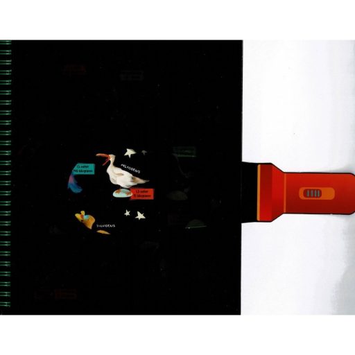 Napraforgó Csodalámpa - Ősállatok