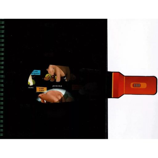 Napraforgó Csodalámpa - Ősállatok