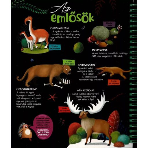 Napraforgó Csodalámpa - Ősállatok