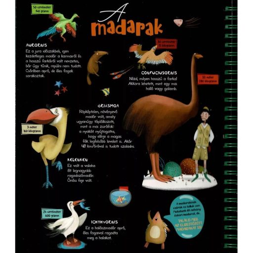 Napraforgó Csodalámpa - Ősállatok