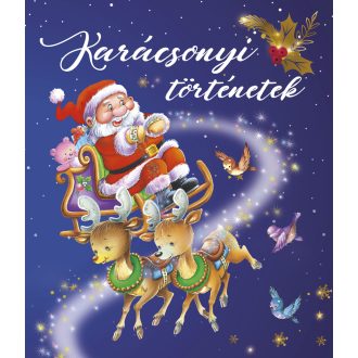 Napraforgó Karácsonyi történetek