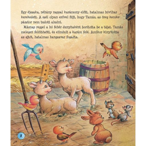 Napraforgó Karácsonyi történetek