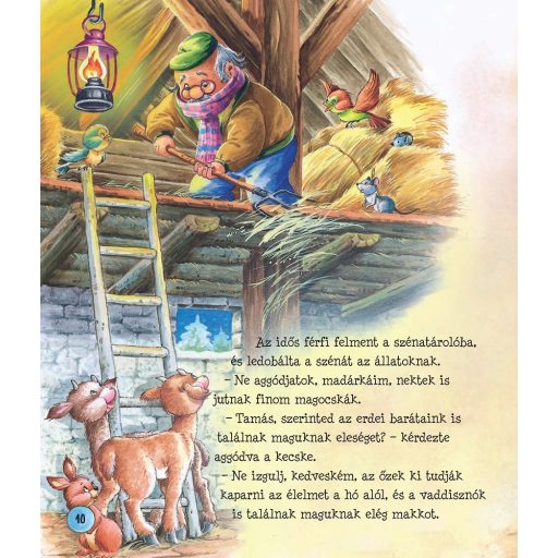 Napraforgó Karácsonyi történetek