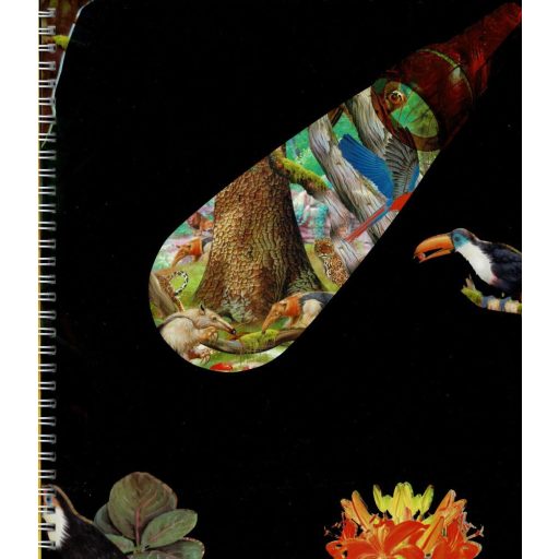 Napraforgó Zseblámpával - Az állatkölykök nyomában