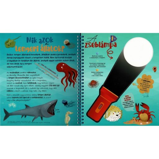 Napraforgó Csodalámpa - Tengeri állatok