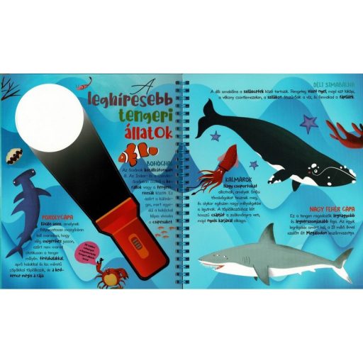 Napraforgó Csodalámpa - Tengeri állatok