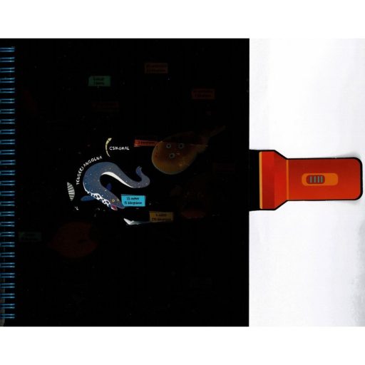 Napraforgó Csodalámpa - Tengeri állatok