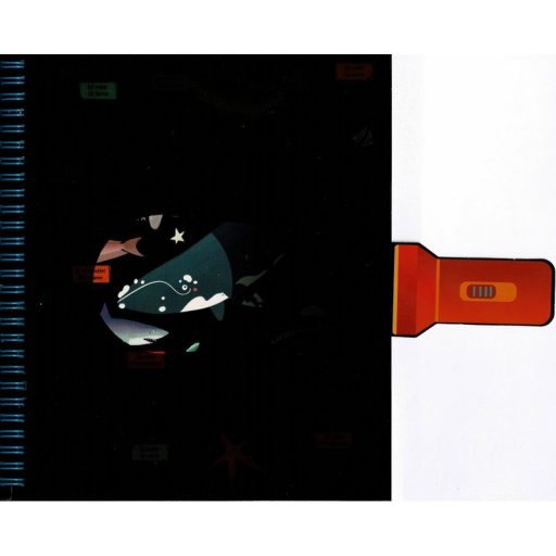 Napraforgó Csodalámpa - Tengeri állatok