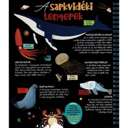 Napraforgó Csodalámpa - Tengeri állatok