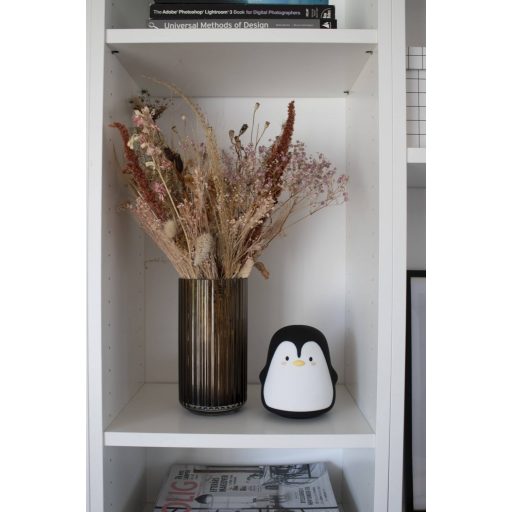 Filibabba Pelle a pingvin éjszakai fény