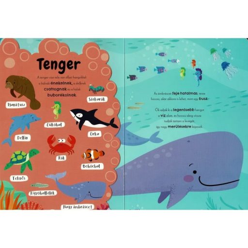 Napraforgó Első állathangjaim - angol-magyar hangmodulos könyv