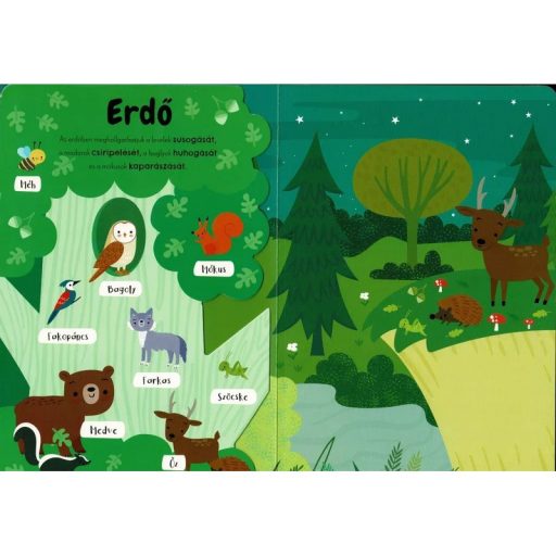 Napraforgó Első állathangjaim - angol-magyar hangmodulos könyv