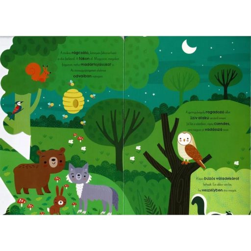 Napraforgó Első állathangjaim - angol-magyar hangmodulos könyv