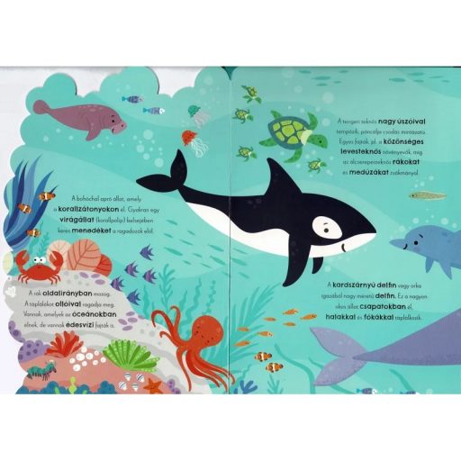 Napraforgó Első állathangjaim - angol-magyar hangmodulos könyv