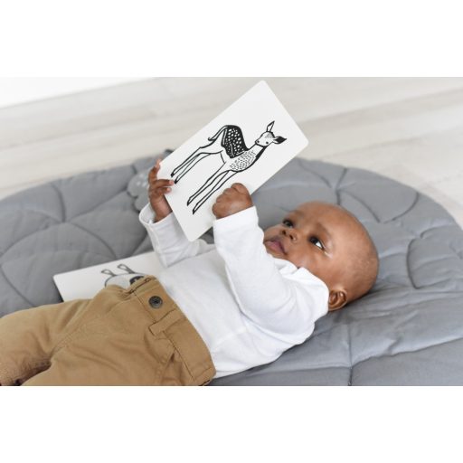 We Gallery Készségfejlesztő kártyák - Bébi állatok