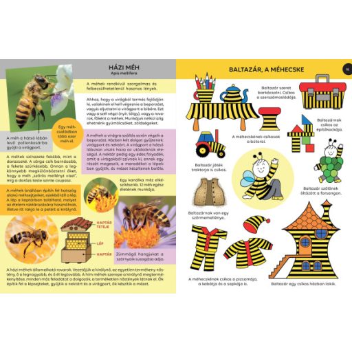 Pagony Bogyó és Babóca - Ki kicsoda? - A sorozat szereplői a természetben