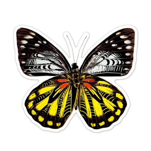 Avenir Karckép matricák, Pillangók