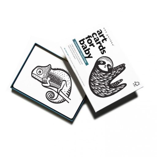 We Gallery Készségfejlesztő kártyák - Esőerdő