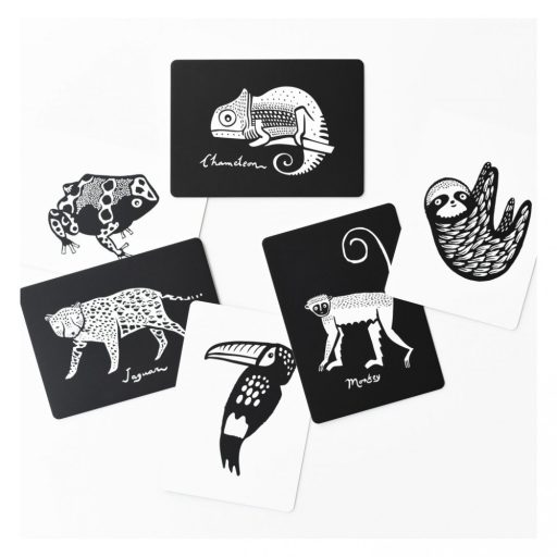 We Gallery Készségfejlesztő kártyák - Esőerdő