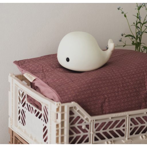 Filibabba Christian a bálna éjszakai fény