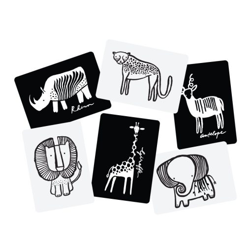 We Gallery Készségfejlesztő kártyák - Szafari
