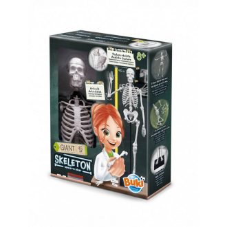 Buki Összeépíthető emberi csontváz 45 cm-es