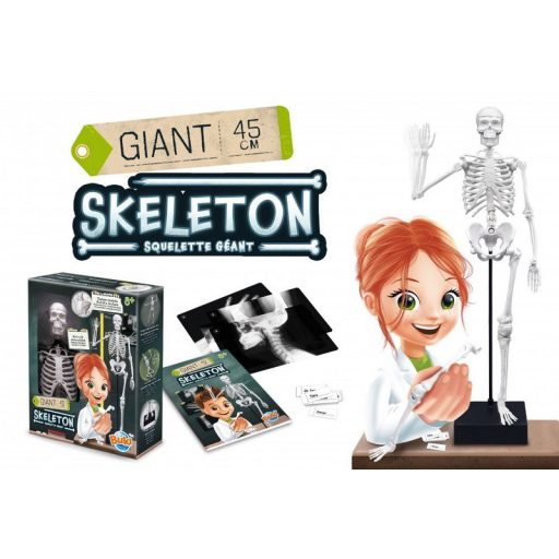 Buki Összeépíthető emberi csontváz 45 cm-es