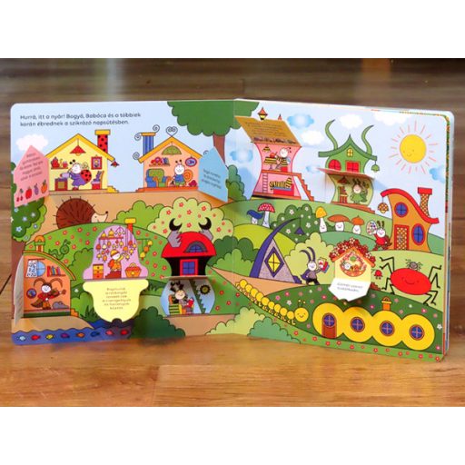 Pagony Csigás ablakos könyv