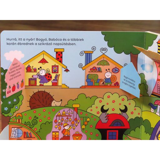 Pagony Csigás ablakos könyv