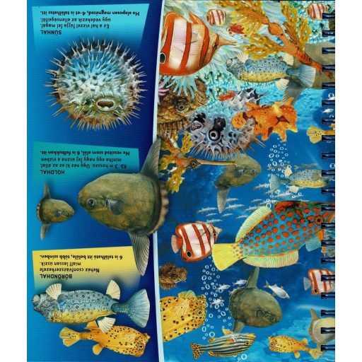 Napraforgó Nagyítóval - A tenger alatt