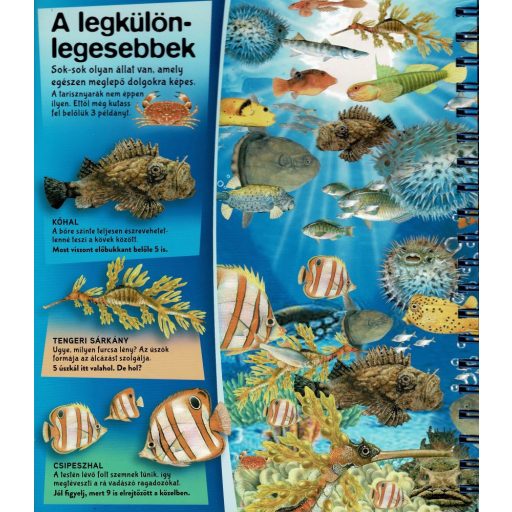 Napraforgó Nagyítóval - A tenger alatt