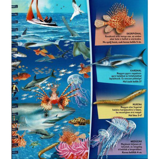 Napraforgó Nagyítóval - A tenger alatt