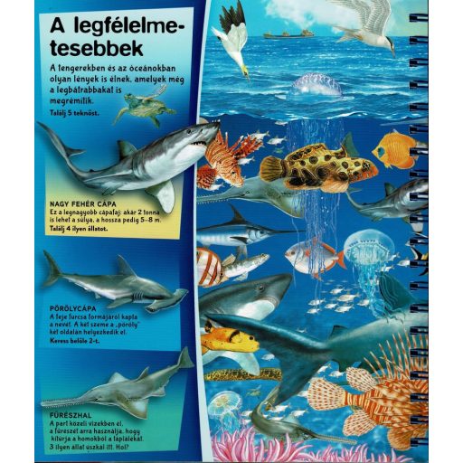 Napraforgó Nagyítóval - A tenger alatt