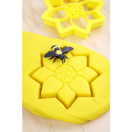 Invitation to Imagine Bio napraforgó gyurma kinyomó