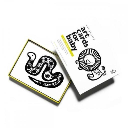 We Gallery Készségfejlesztő kártyák - Dzsungel