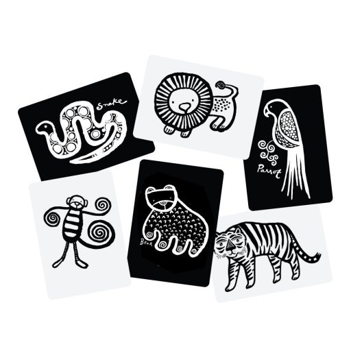 We Gallery Készségfejlesztő kártyák - Dzsungel