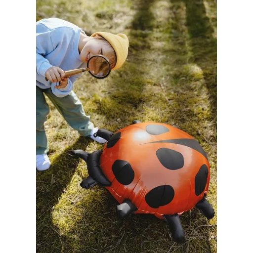 Party Deco Katicabogár Fólia lufi