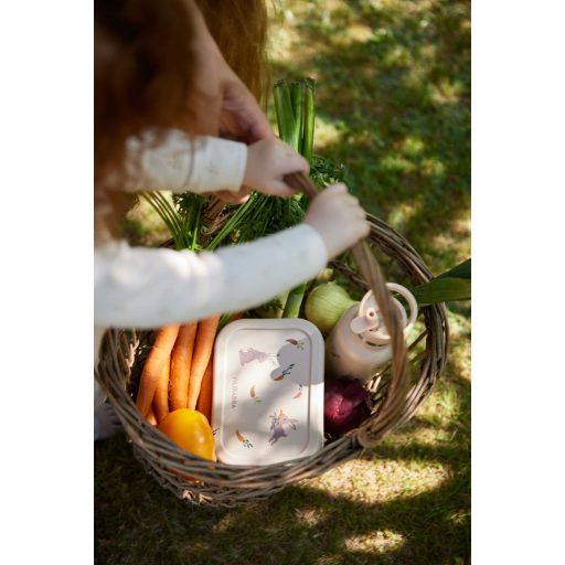 Filibabba Osztott szilikon uzsonnás doboz - Mandula