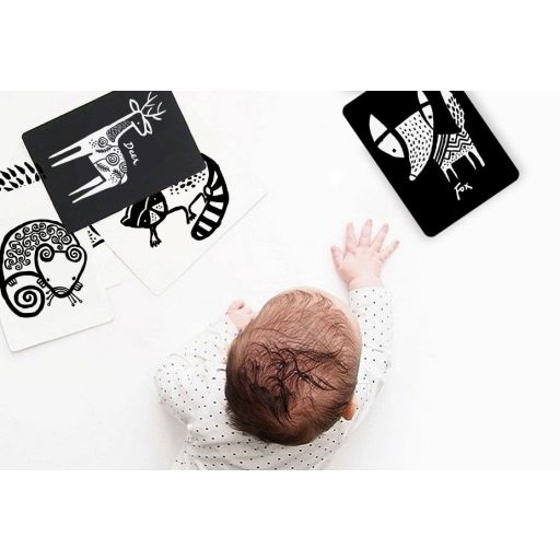 We Gallery Készségfejlesztő kártyák - Háziállatok