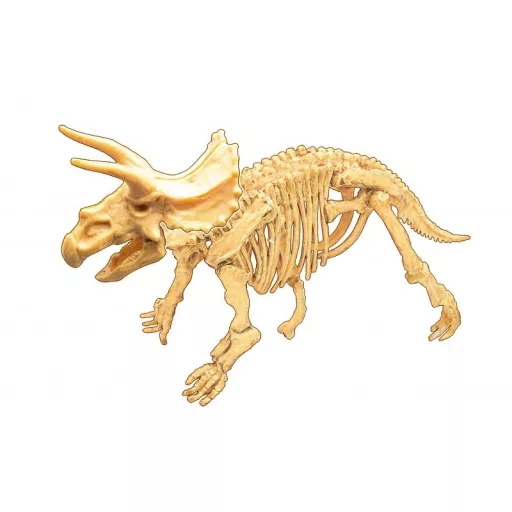 Buki Dínó csontváz felfedező készlet - Triceratops