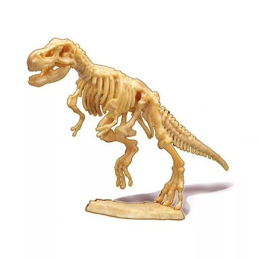 Buki Dínó csontváz felfedező készlet - T-Rex