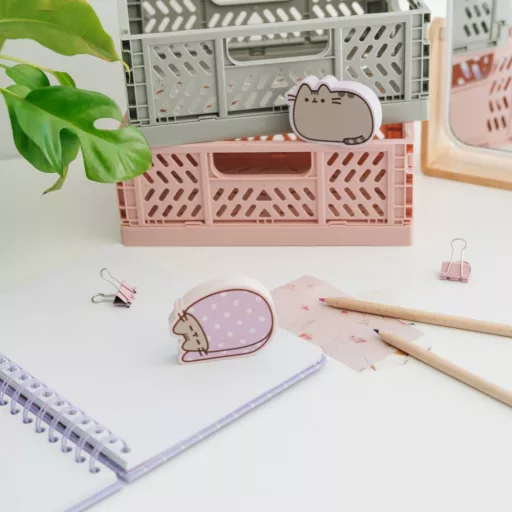 Grupo Erik Radír szett 2db-os - Pusheen Moments